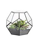 Geometric 7" Planter Glass Hexagon Ball Terrarium Vase (Gold) XDGW341-1 - Richview Glass Wedding Supplies