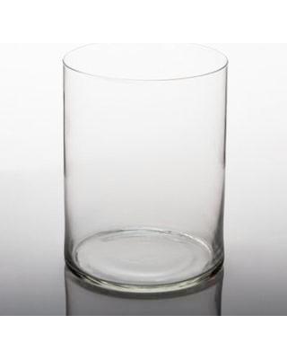 6"Dx8"H Cylinder Vase - Viva La Rosa