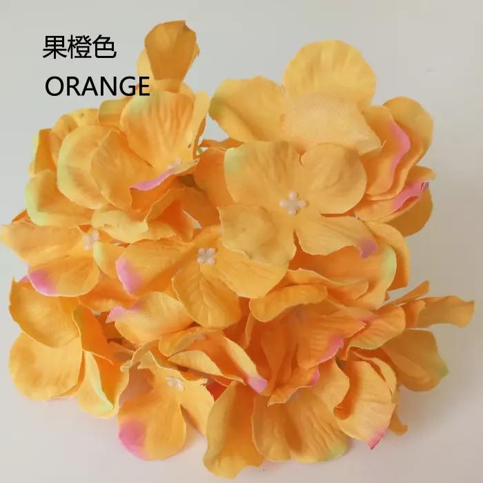 orange hydrangea head