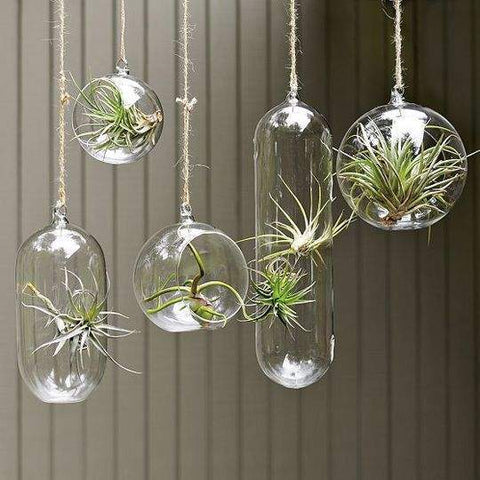 Hanging Glass Vase 3-4" Round Planter Bubble Ceiling Ball Terrarium - Richview Glass Wedding Supplies