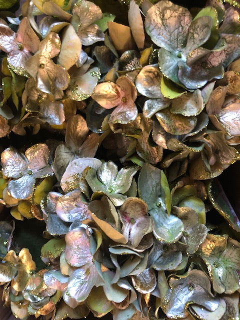 Christmas Single stem Green Hydrangea - Viva La Rosa