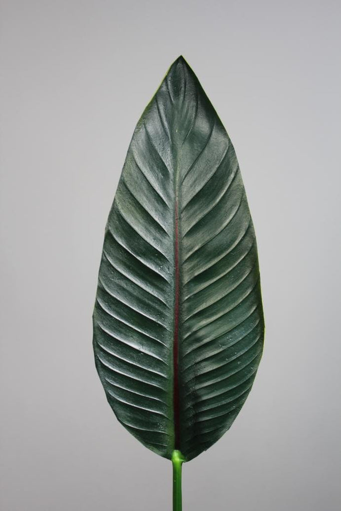 34" Bird of Paradise Leaf (s) real touch leaf floramatique - Viva La Rosa