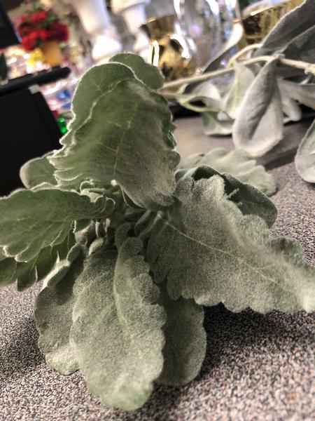 Artificial leaf Real touch greenery velvet Silver - Viva La Rosa