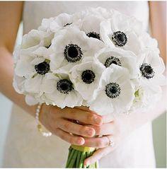 poppy bunch black eye susan