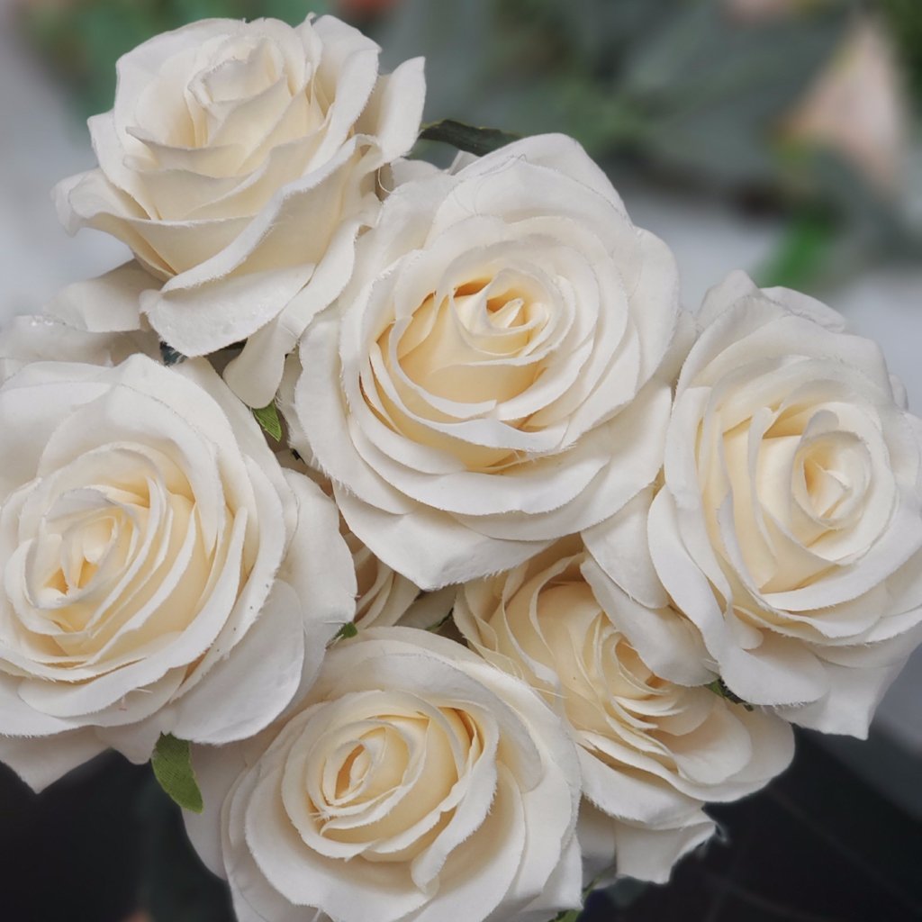10 head champagne Rose - Viva La Rosa