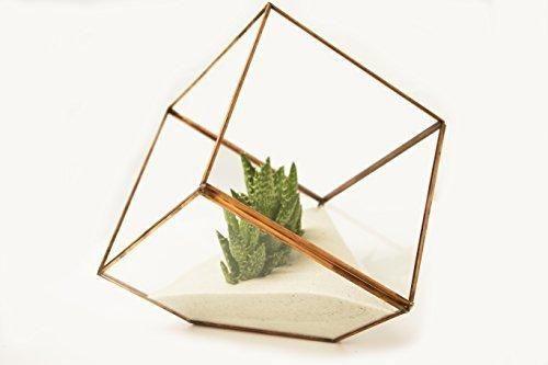 Geometric Black Cube Planter Glass Terrarium Vase JT-T1020 - Viva La Rosa