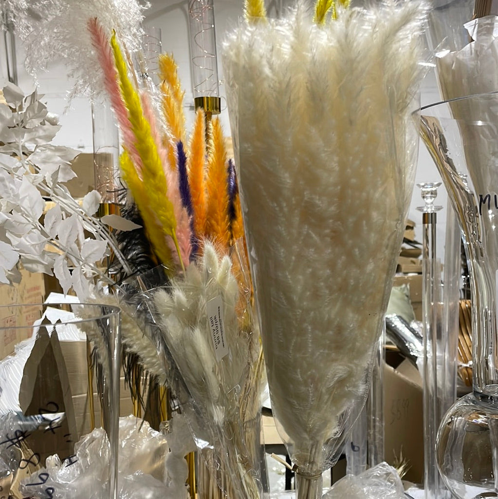 25" White/Cream mini pampas grass stick (M)
