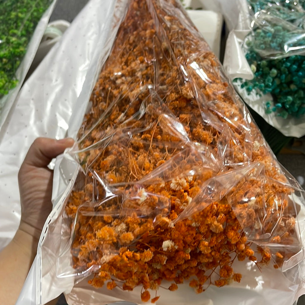 Preserved baby’s breath bunch Orange