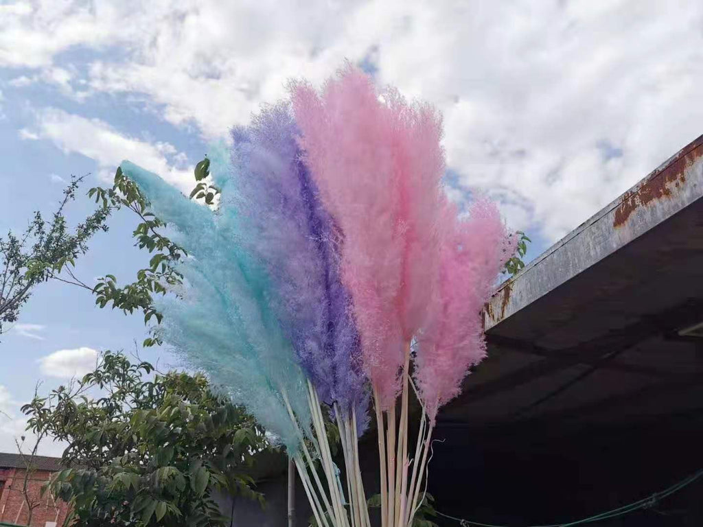 Large Pink pampas grass stem 40” tall