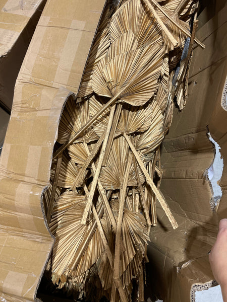 Gold Dried Spear Palm Leaf Anahaw