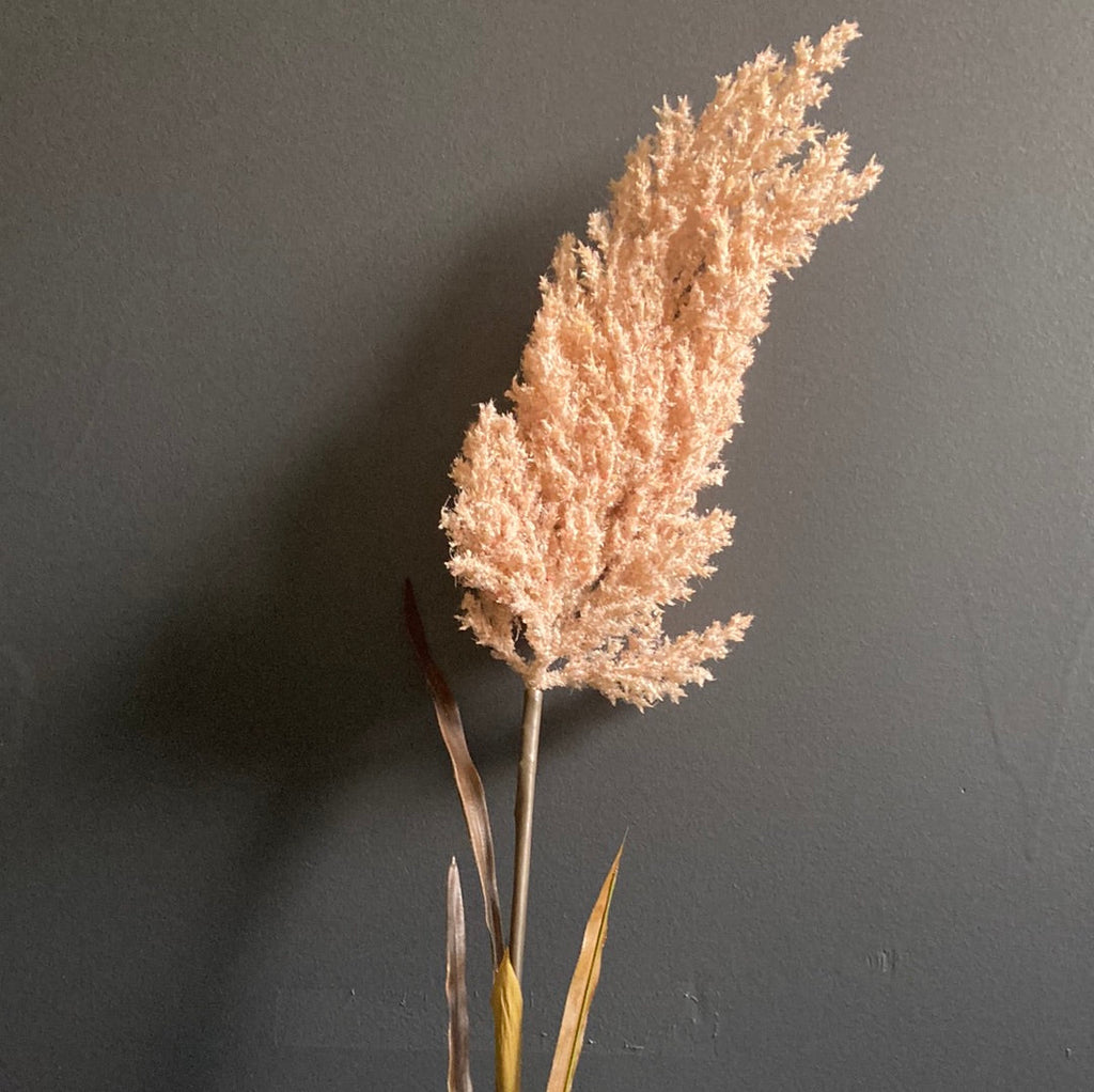 Pampas Grass Dusty Pink (s) artificial