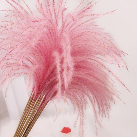 Pink Preserved pampas grass bunch 24” (50/bundle)