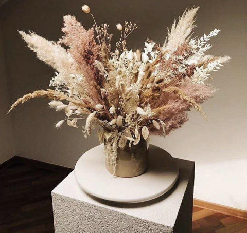 Preserved pampas grass