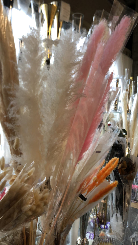 Large PINK pampas grass stem 40” tall