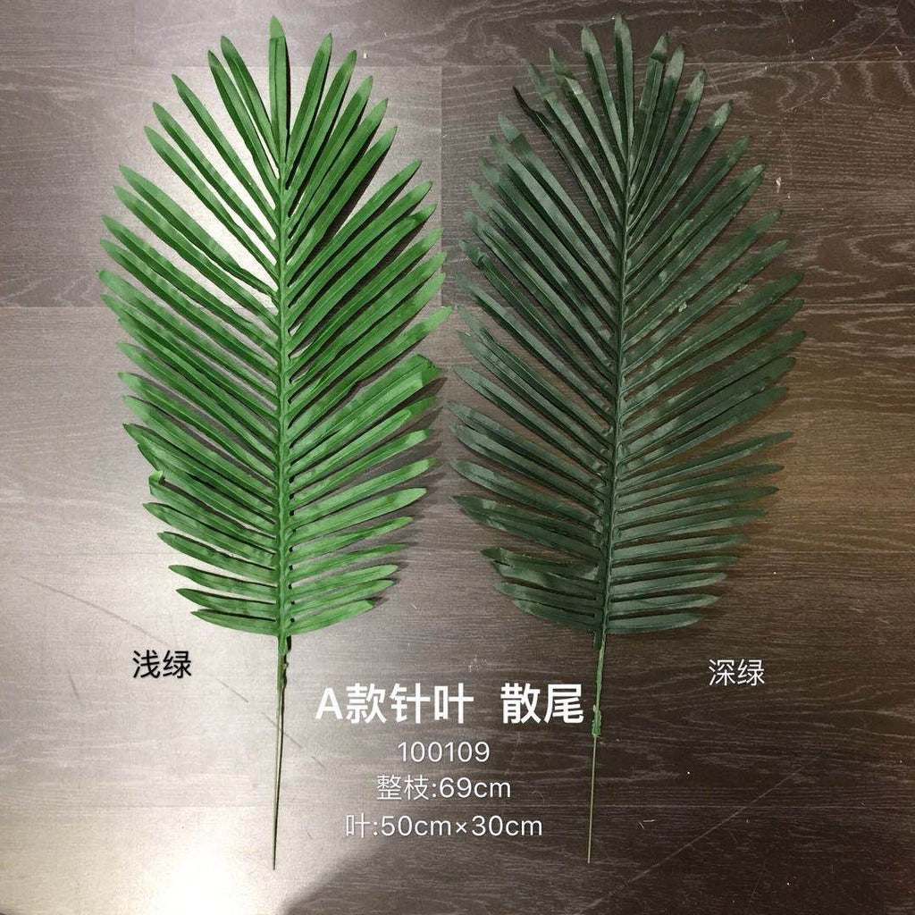 Phoenix palm big Light green LEAF Greenery