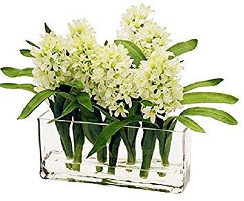 12" Long and Low Clear Glass Vase - Viva La Rosa