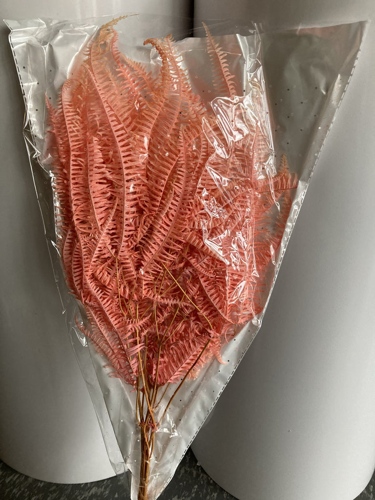Preserved Bundle of Fern light Pink