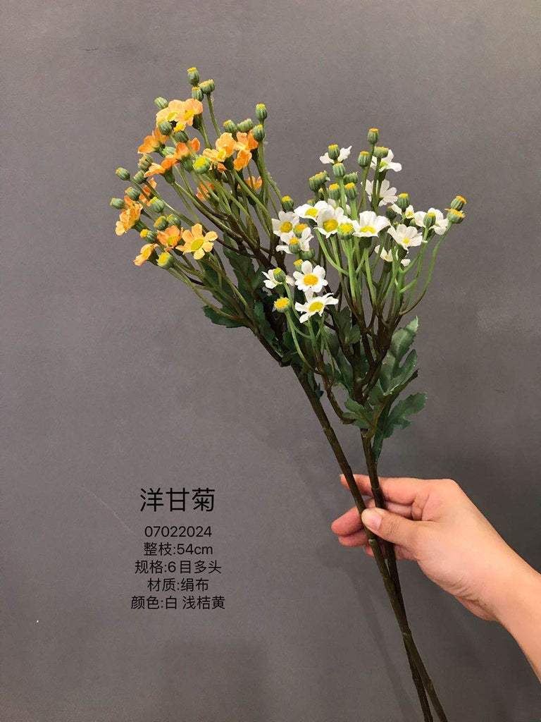 Cream chamomile FLOWER HEAD WEDDING DECOR SUN FLOWER family white