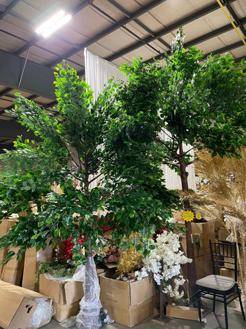 Green Ficus leaf Tree 10 feet XDTMB16-21-3M