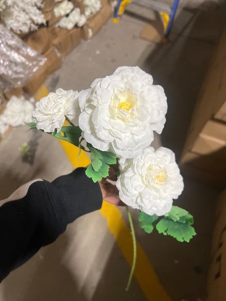 Mini Mille layer thousand petal lotus clematis( White)