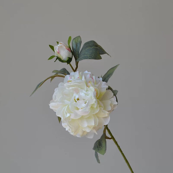 Coral Single Stem Peonies spray also in pink or white jumbo