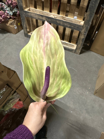 Real touch calla lily wedding decor (Ivory) NEW