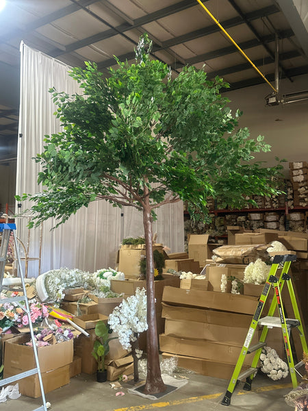 Green Ficus leaf Tree 12 feet/3.6m XDTMB16-21