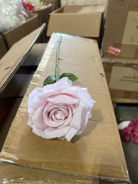 New Pink Empress Single Stem Rose