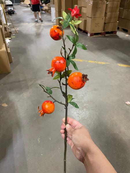 New pomegranate branch