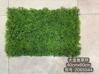 New green hedge boxwood panel backdrop thick