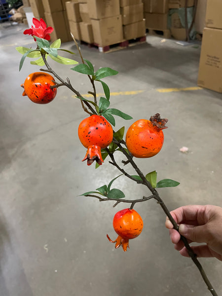 New pomegranate branch