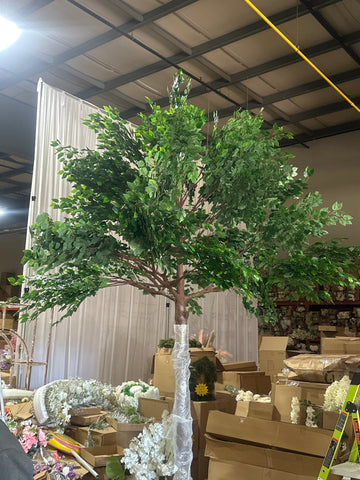 Green Ficus leaf Tree 12 feet/3.6m XDTMB16-21