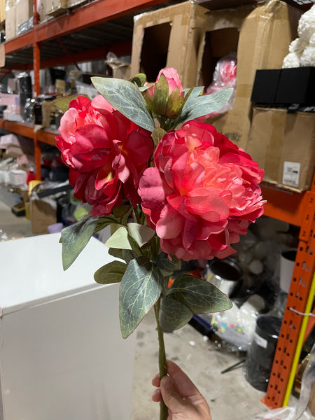 Coral Single Stem Peonies spray also in pink or white jumbo