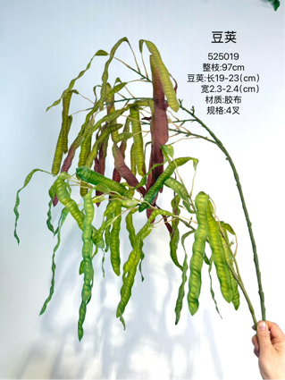 Large Green Snow Pea in Pod hanging greenery