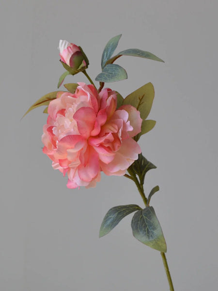 Coral Single Stem Peonies spray also in pink or white jumbo