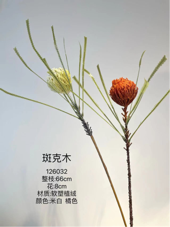 New Banksia Spray