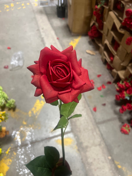 New Moist Touch Open Rose Red*