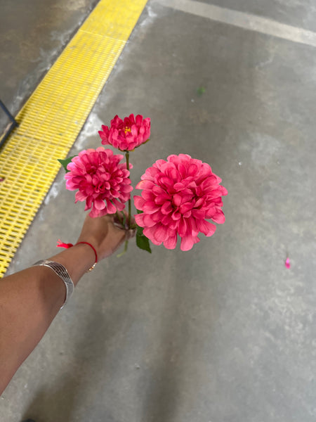 Hot Pink Pompon  Dahlia spray