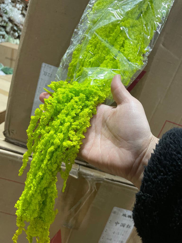 New Preserved Green Amaranthus real filler greenery