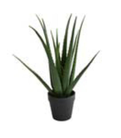 Aloe Vera Real Touch Plant in a pot artificial 54cm