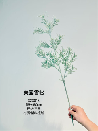 Cedar greenery american