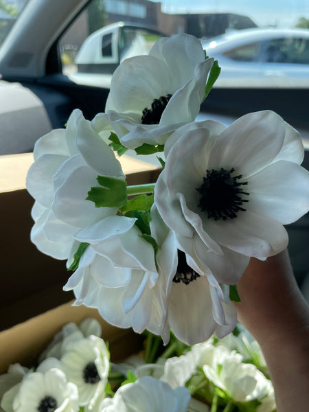 Artificial Anemone PU Material (5/bunch) Real Touch Flower SB199 (White)