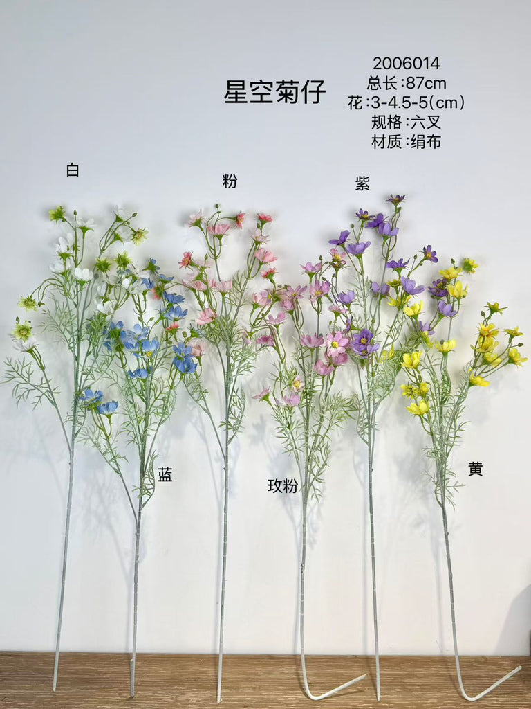 New Mini Baby cosmos sky mum