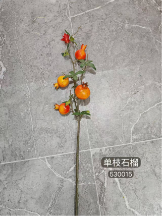 New pomegranate branch