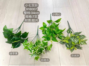 New Small leaf bunch green filler greenery apple pothos variegated pilea