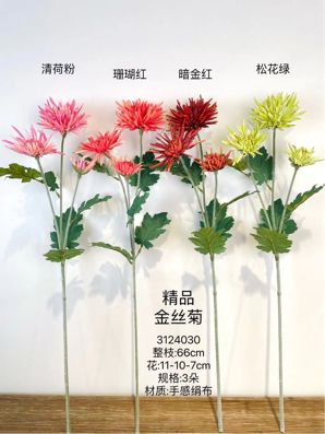 Royal Chrysanthemum long stem