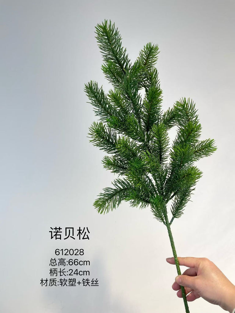 Christmas greenery pine conifer