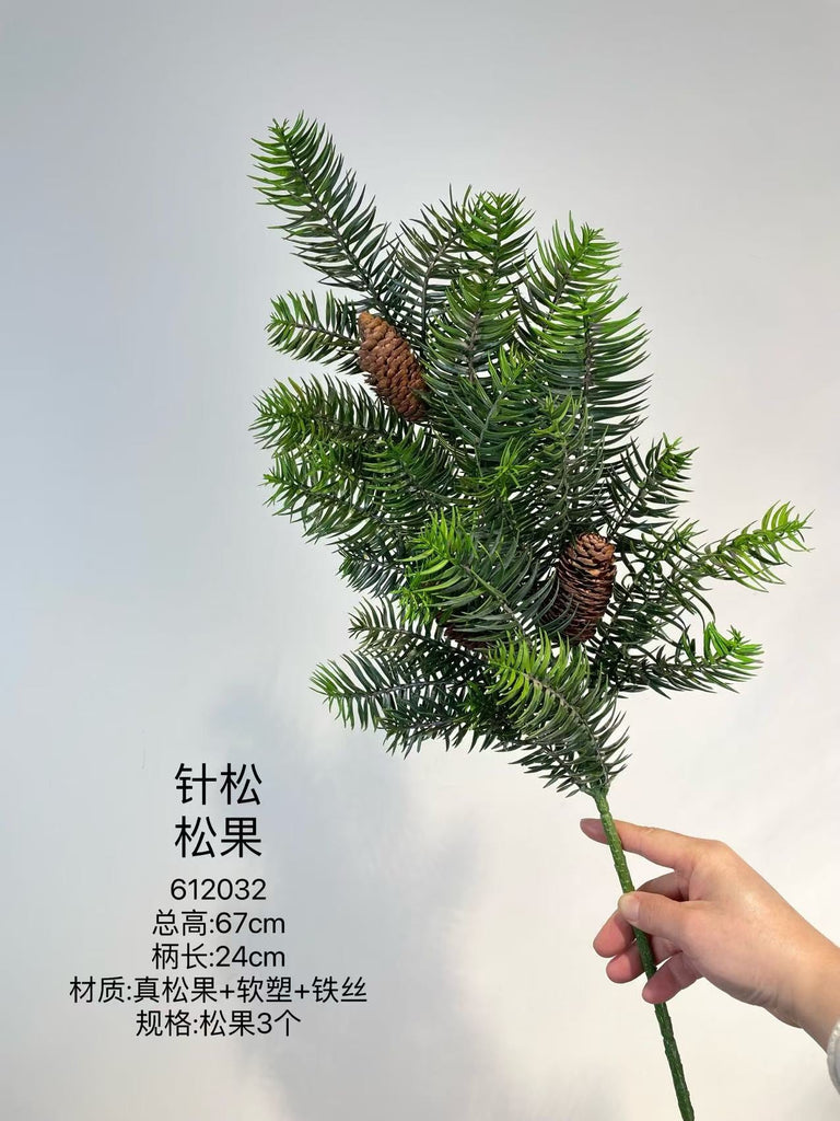 Christmas greenery pine conifer with Pinedone