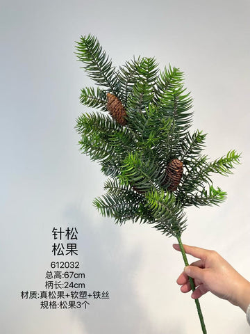 Christmas greenery pine conifer with Pinedone