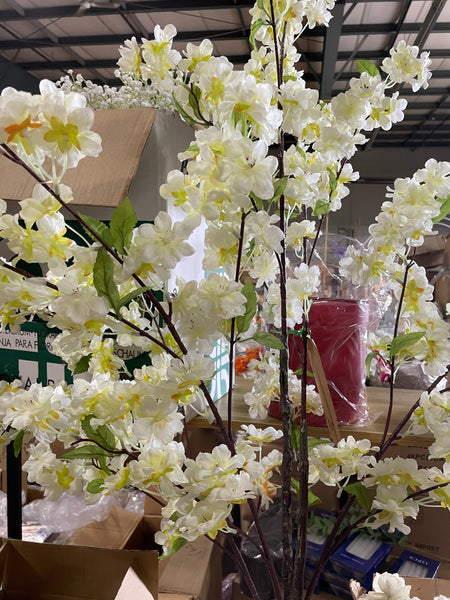 115CM Tall cream Cherry Blossom mini Tree in a pot